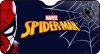 Autós napvédő Spiderman 130X70 cm