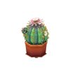 CubicFun 3D puzzle Botanical collection - Kaktusz