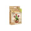 CubicFun 3D puzzle Botanical collection - Vénusz légycsapója (húsevő virág)