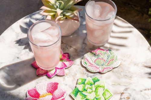 Diamond Dotz gyémántfestő poháralátét készítő - Succulents