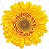 Diamond Dotz DD3 Happy Day Sunflower