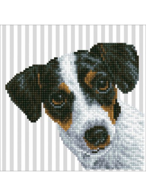 Diamond Dotz DD3 Me?