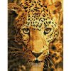 Diamond Dotz DD6  Jaguar Prowl