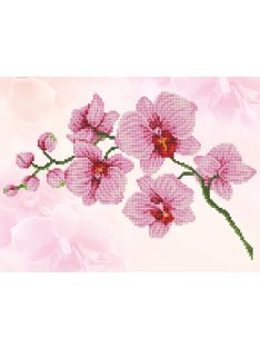 Diamond Dotz DD6 Orchidea