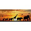 Diamond Dotz DD9 African Sky