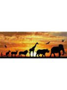 Diamond Dotz DD9 African Sky
