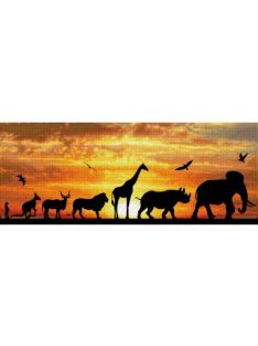 Diamond Dotz DD9 African Sky