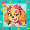 Diamond Dotz QuickDotz képkészítő Paw Patrol Skye