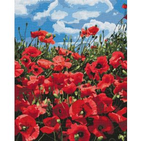 Ideyka Festés számok szerint - Pipacsok 40*50cm