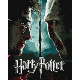   Ideyka Festés számok szerint - Harry Potter: Harry és Voldemort 40x50 cm extra metál festékkel 