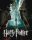 Ideyka Festés számok szerint - Harry Potter: Harry és Voldemort 40x50 cm extra metál festékkel 