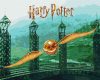 Ideyka festés számok szerint - Harry Potter: Aranycikesz 40x50 cm extra metál festékkel