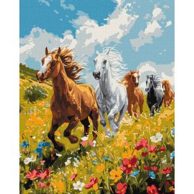 Ideyka Festés számok szerint - Harmónia a mezőn 40*50 cm