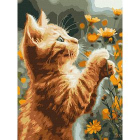 Ideyka Festés számok szerint - Bolyhos cica 30*40 cm