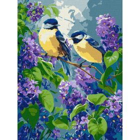 Ideyka Festés számok szerint - Tavaszi duett 30*40 cm