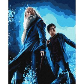   Ideyka festés számok szerint - Harry Potter: Harry és Dumbledore 40x50 cm metál festékkel
