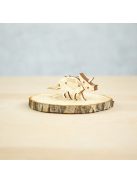 Wood&Hobby összeépíthető famodell - Triceratrops