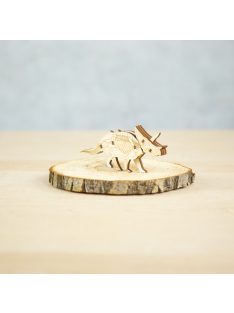Wood&Hobby összeépíthető famodell - Triceratrops