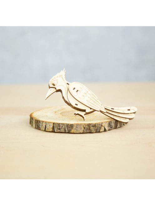 Wood&Hobby összeépíthető famodell - Fakopáncs