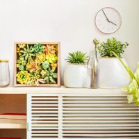 Okto Wood&Craft
